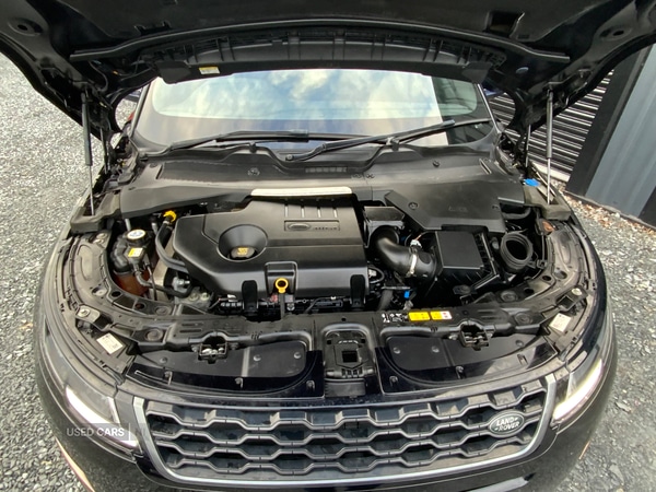 Used Land Rover Range Rover Evoque 2019 for sale - 77132235: Photo 19