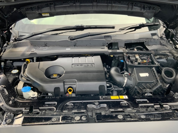 Used Jaguar E-Pace 2019 for sale - 77280224: Photo 13