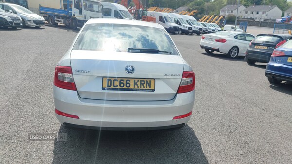 Used Skoda Octavia 2017 for sale - 74600230: Photo 7