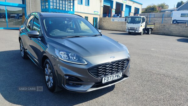 Used Ford Kuga 2024 for sale - 74272142: Photo 10