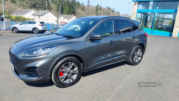 Used Ford Kuga 2024 for sale - 74272142: Photo 1
