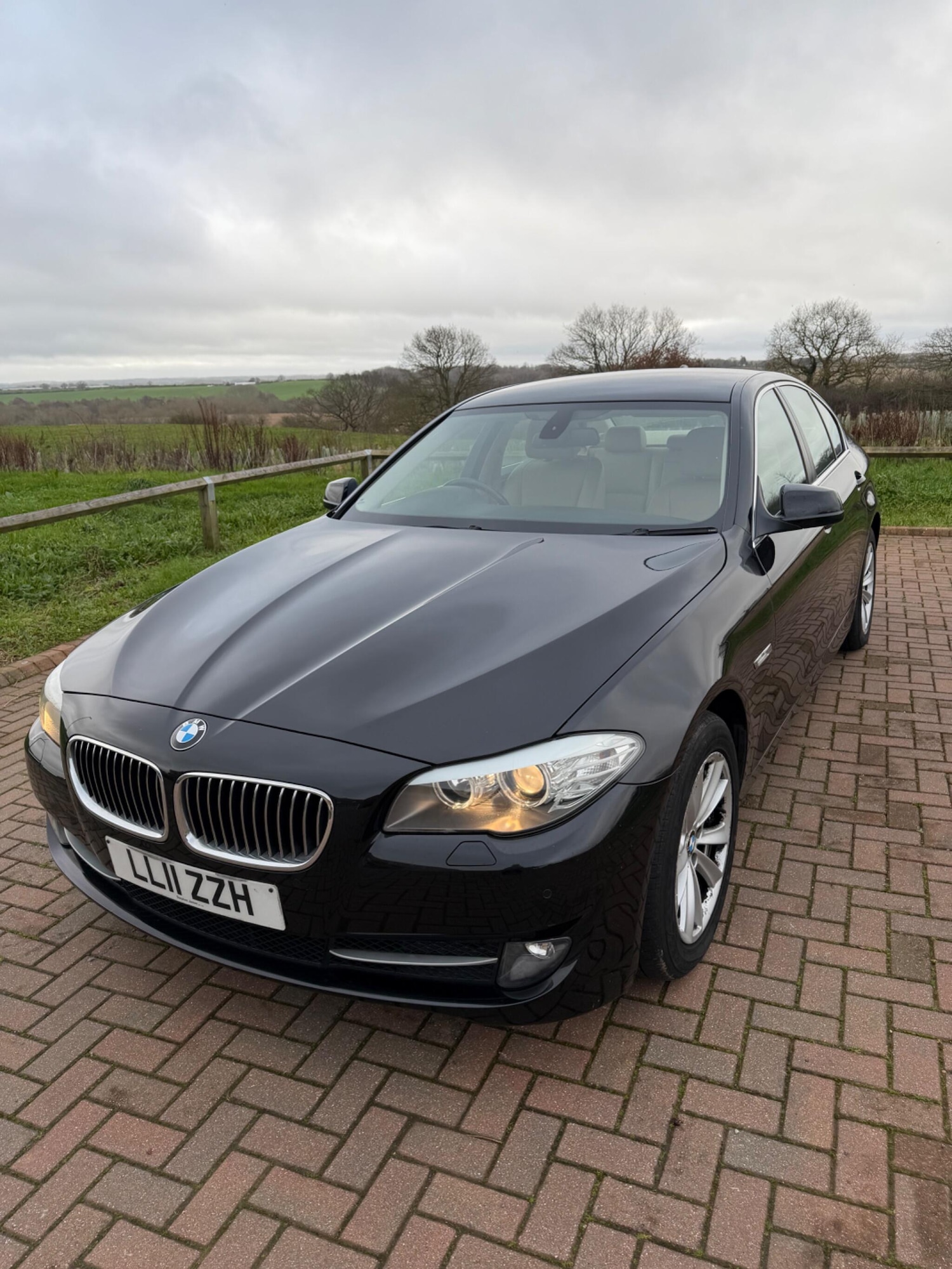 Used BMW 5 Series 2011 for sale - 77495959: Photo 3