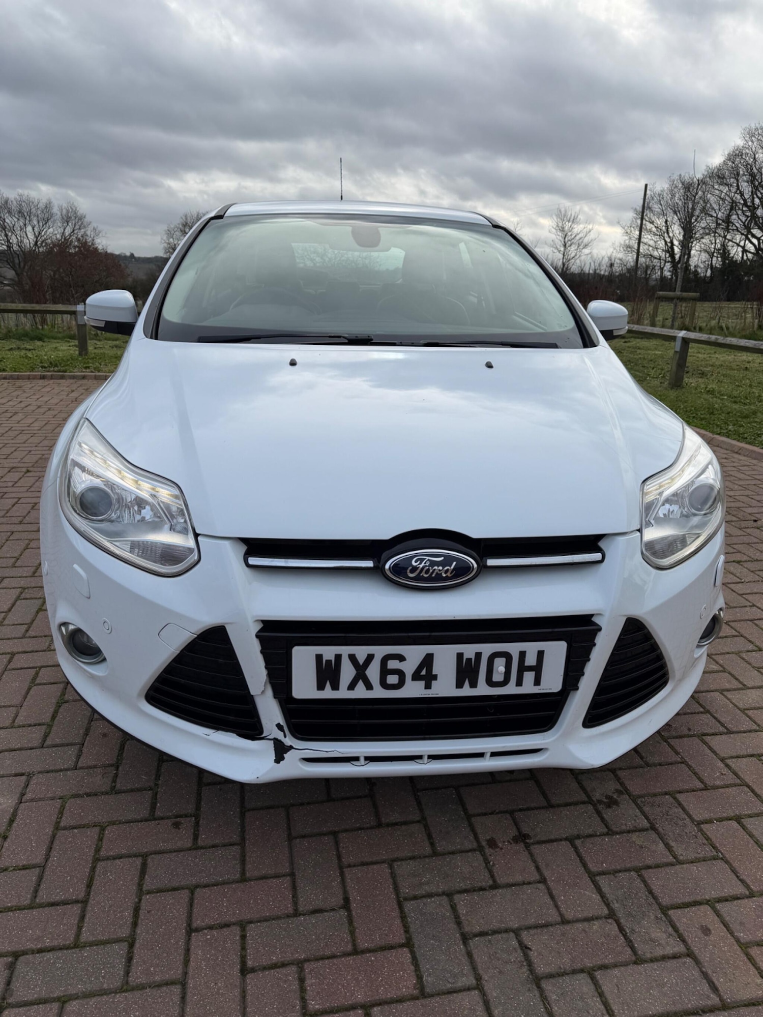 Used Ford Focus 2014 for sale - 77633954: Photo 2