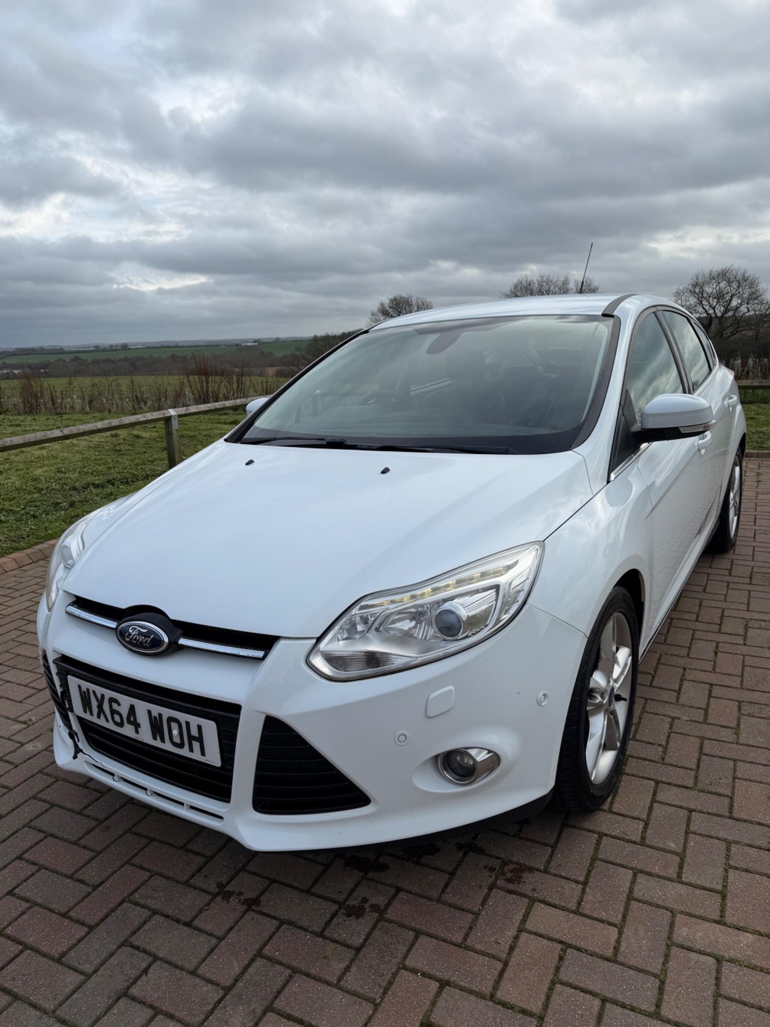 Used Ford Focus 2014 for sale - 77633954: Photo 3