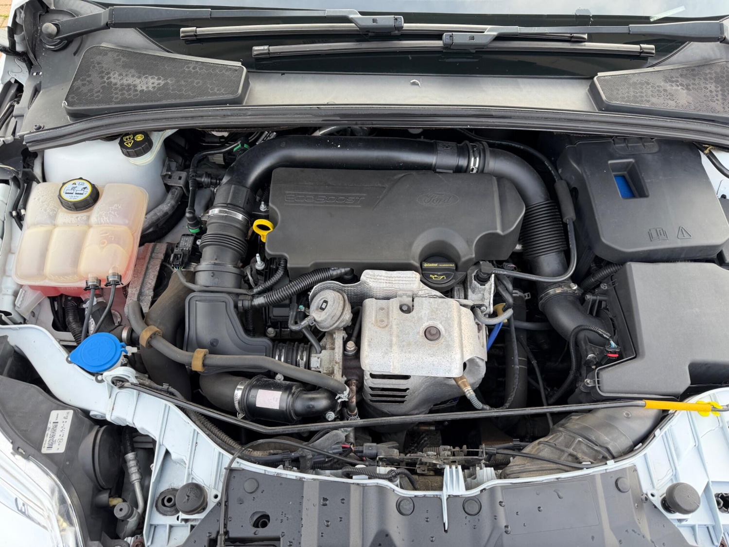 Used Ford Focus 2014 for sale - 77633954: Photo 39