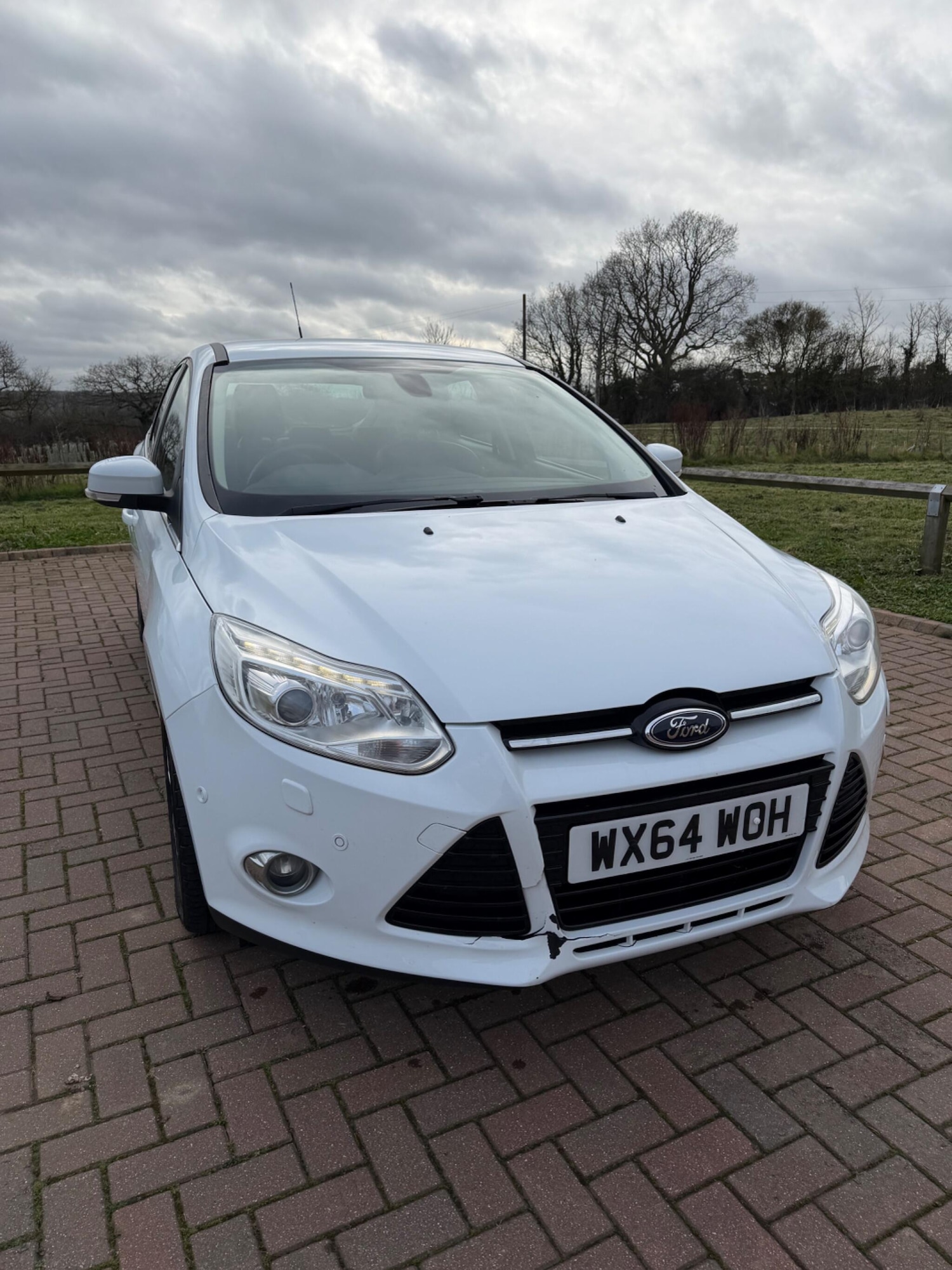 Used Ford Focus 2014 for sale - 77633954: Photo 7