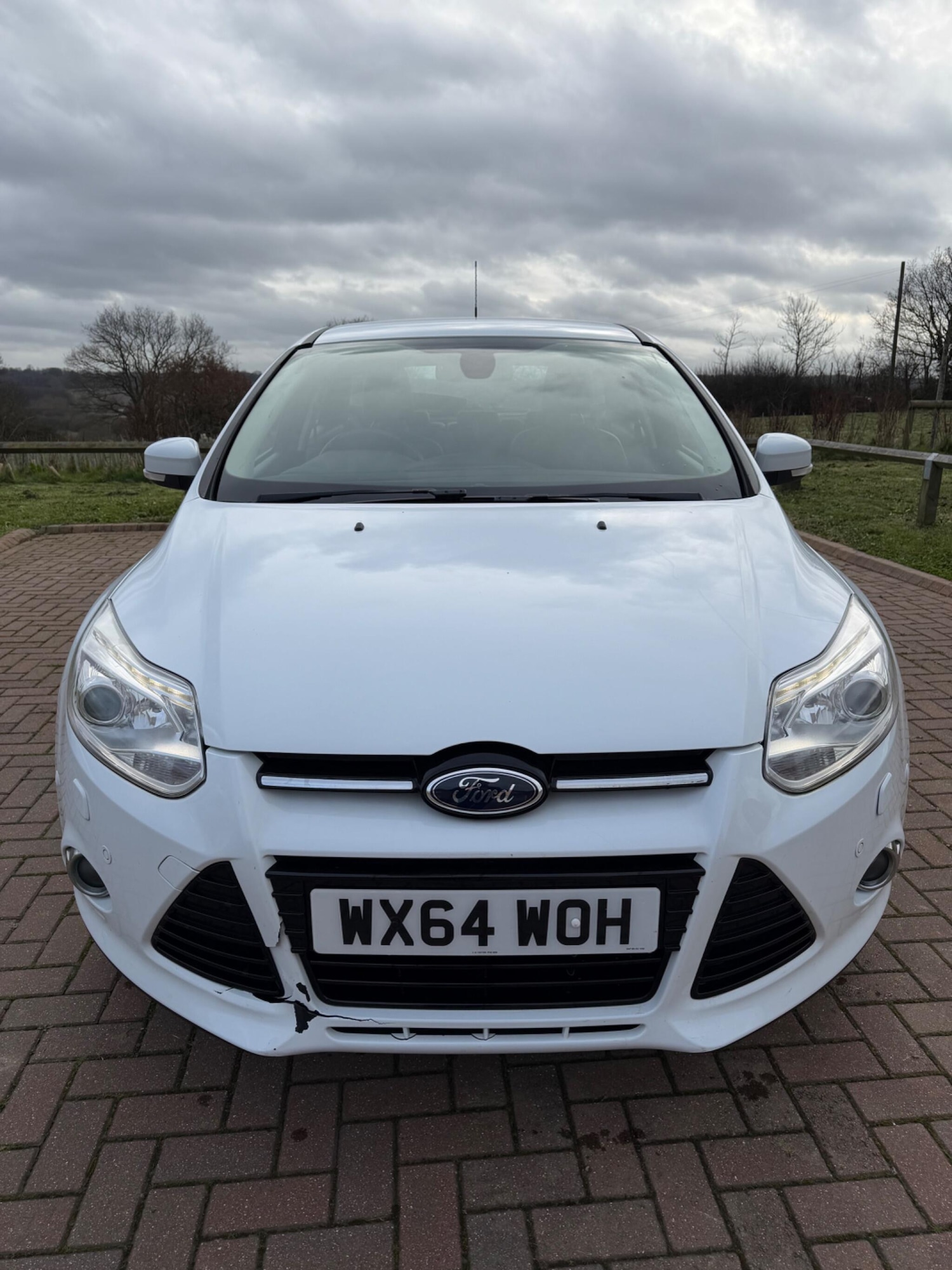 Used Ford Focus 2014 for sale - 77633954: Photo 9