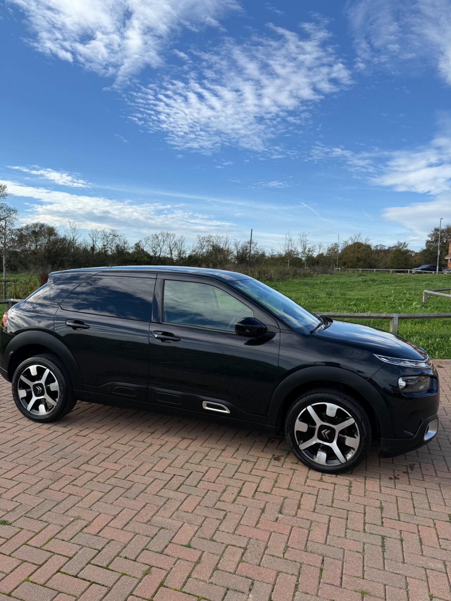 Used Citroen C4 Cactus 2019 for sale - 76573128: Photo 16