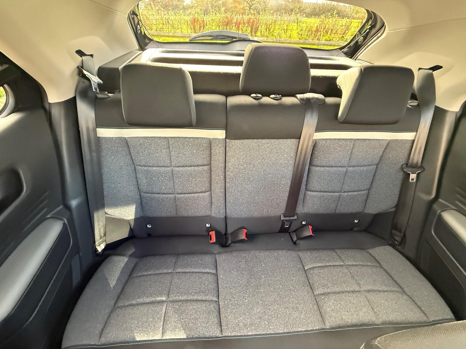 Used Citroen C4 Cactus 2019 for sale - 76573128: Photo 21