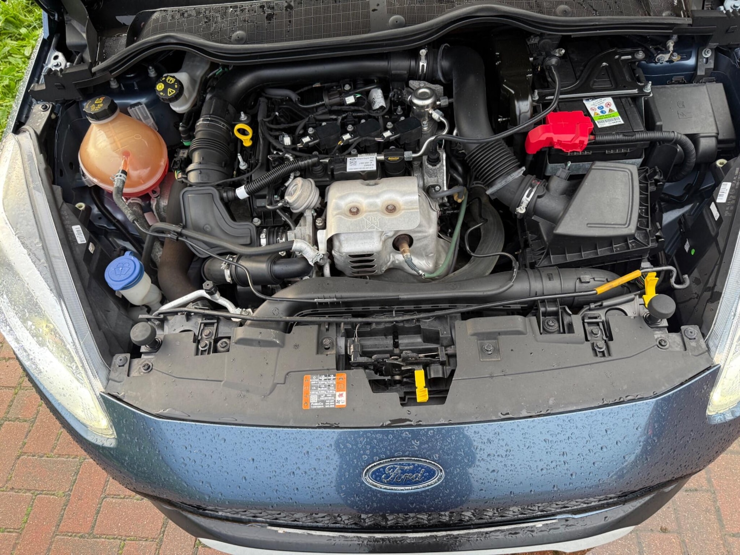 Used Ford Fiesta 2019 for sale - 76786811: Photo 28