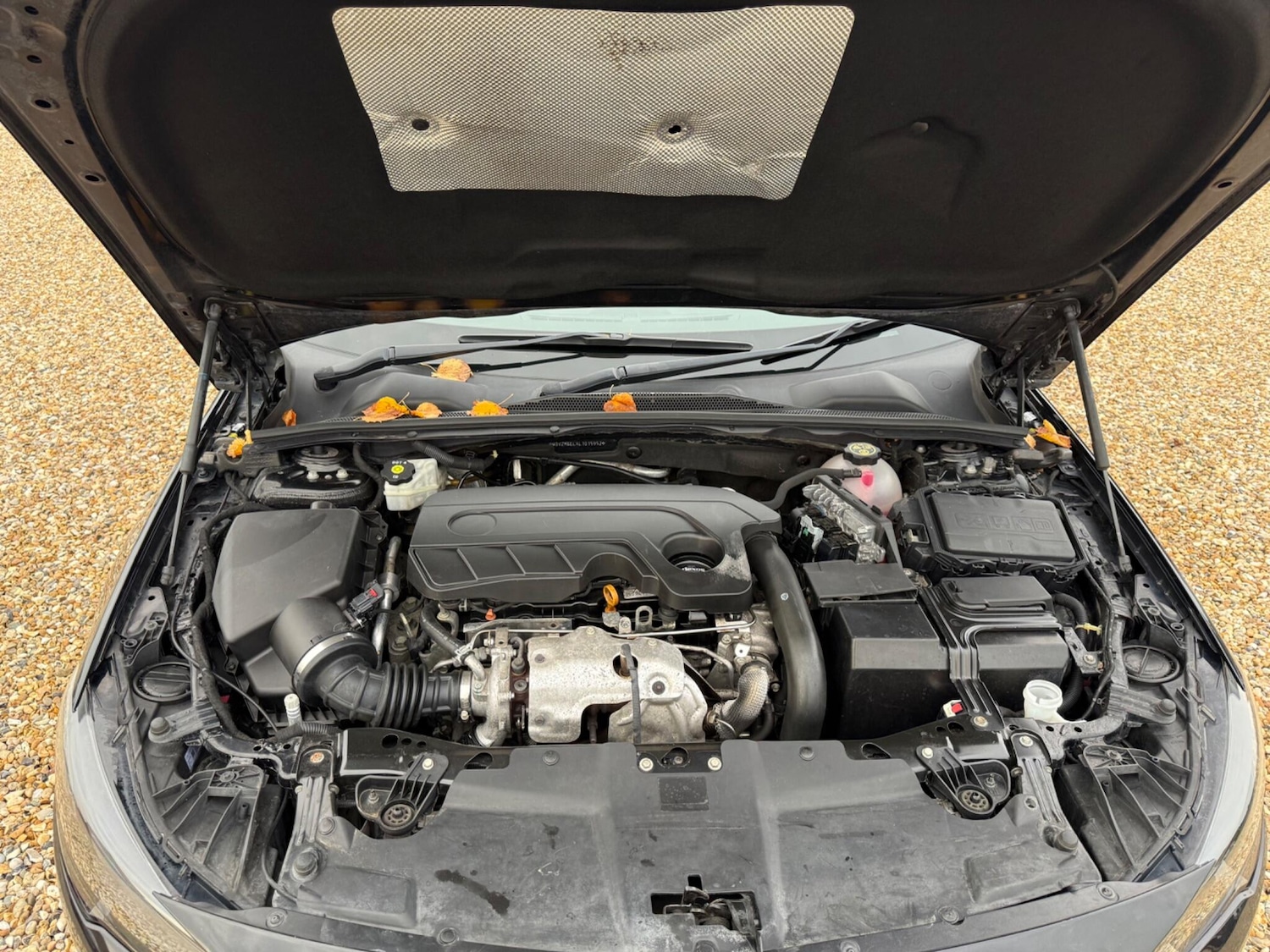 Used Vauxhall Insignia 2019 for sale - 76424970: Photo 39