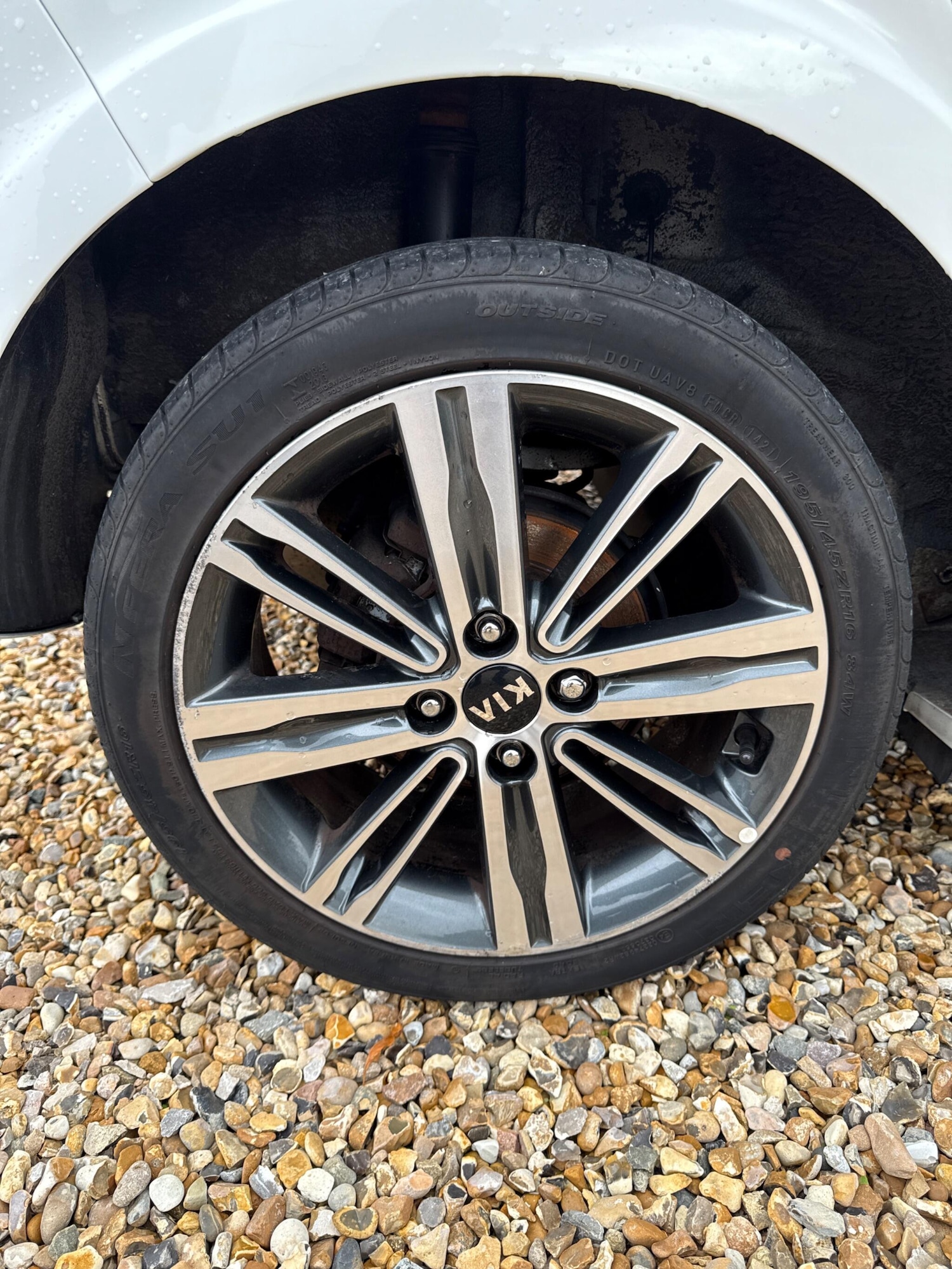 Used Kia Picanto 2019 for sale - 77143641: Photo 36