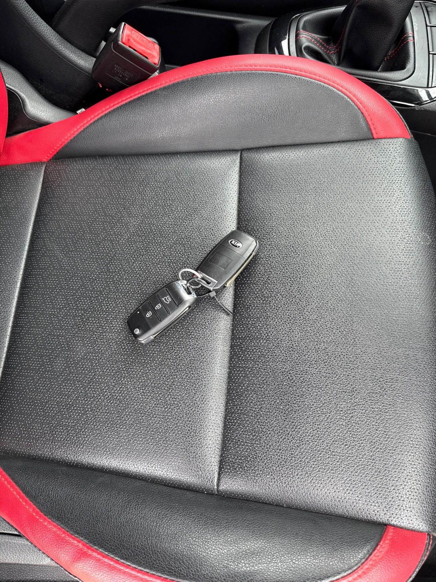 Used Kia Picanto 2019 for sale - 77143641: Photo 41