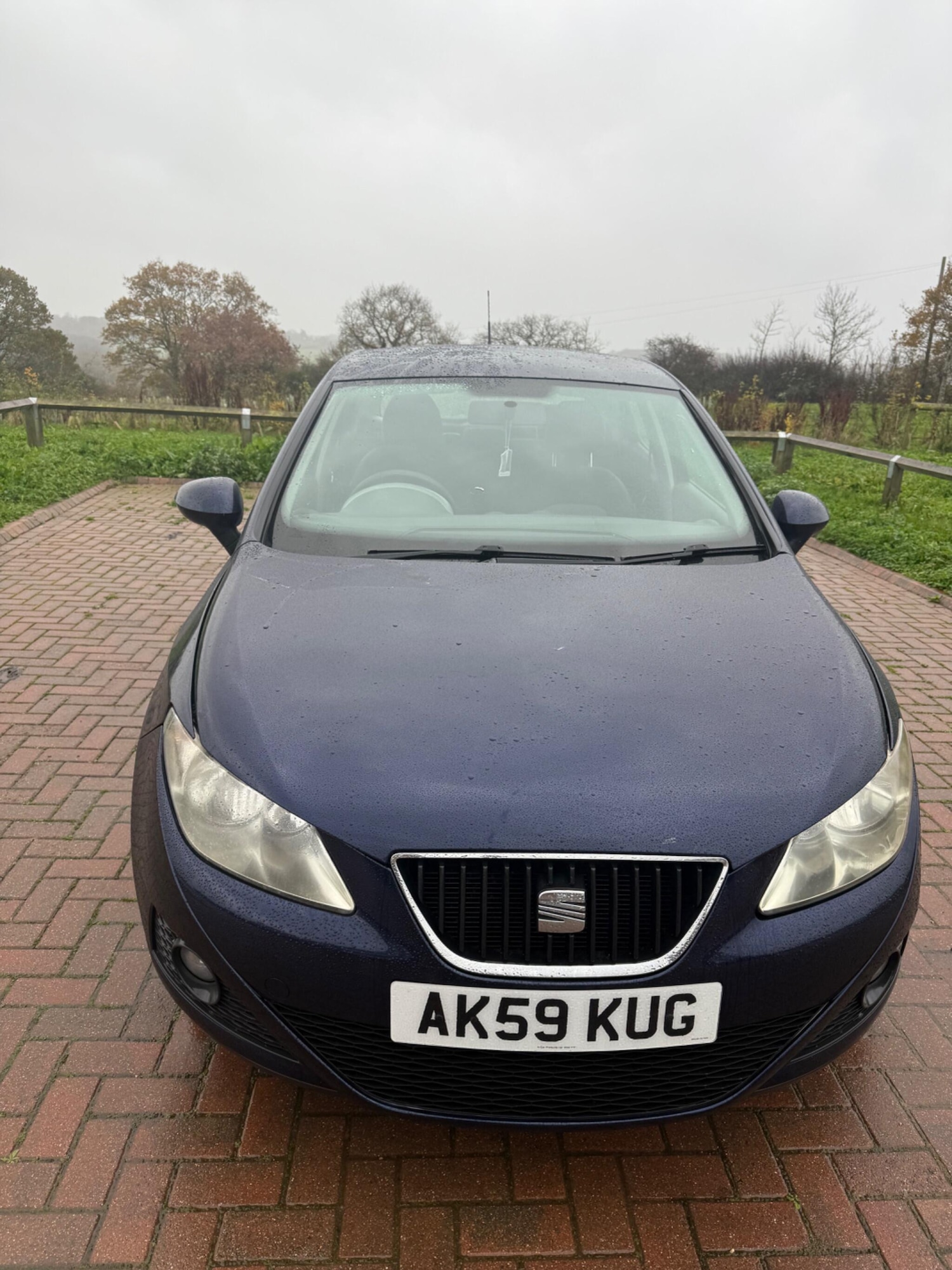 Used SEAT Ibiza 2010 for sale - 76765225: Photo 2