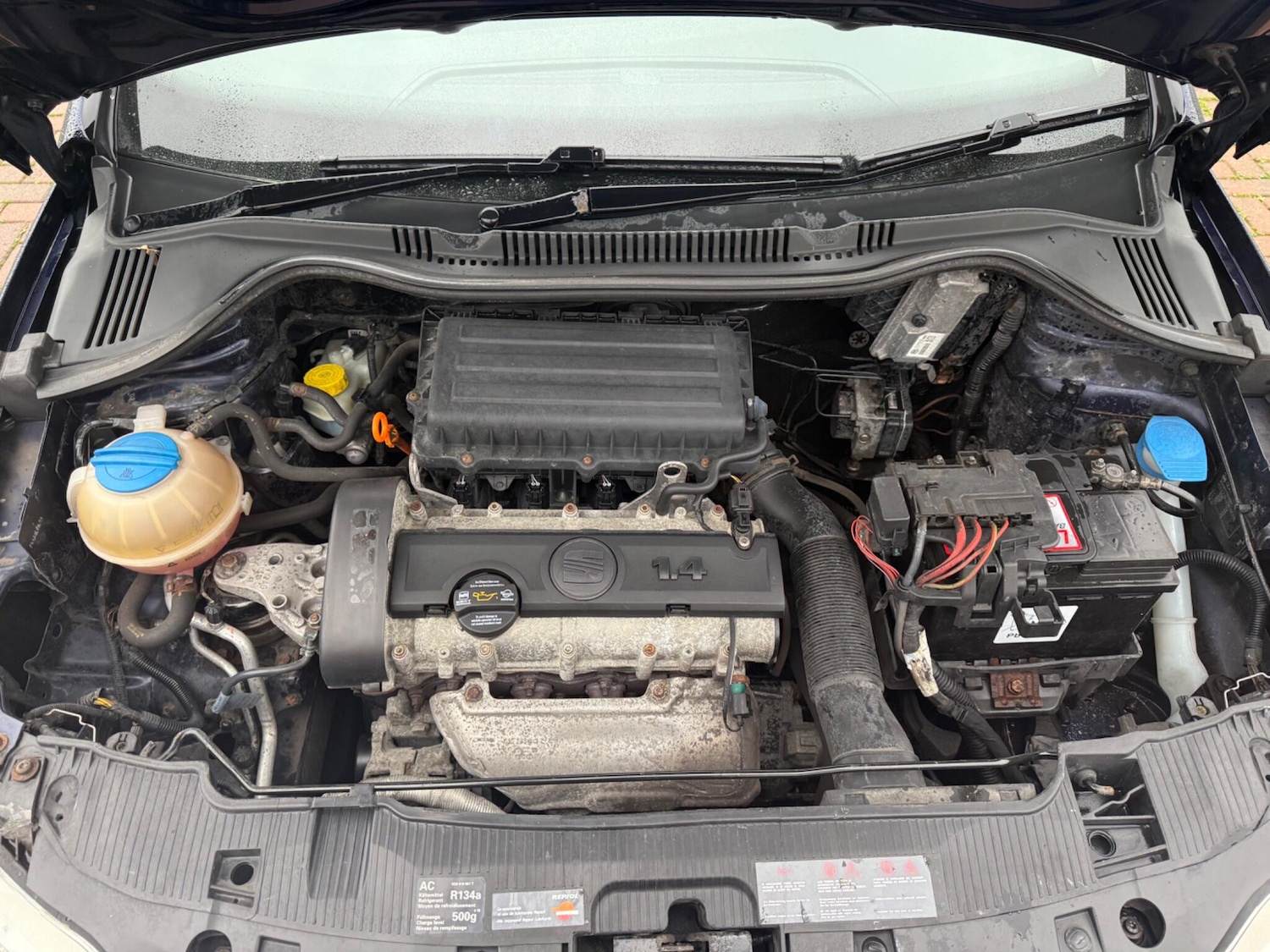 Used SEAT Ibiza 2010 for sale - 76765225: Photo 34