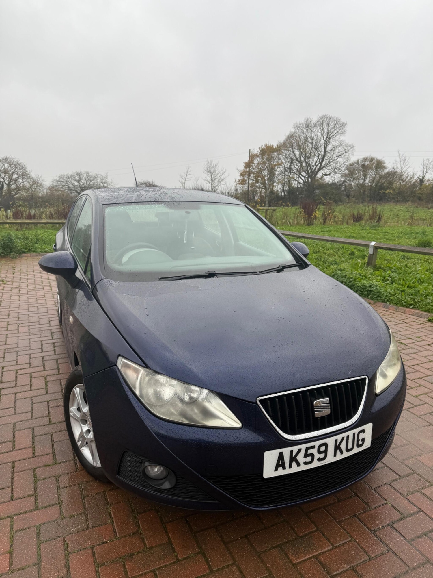 Used SEAT Ibiza 2010 for sale - 76765225: Photo 5