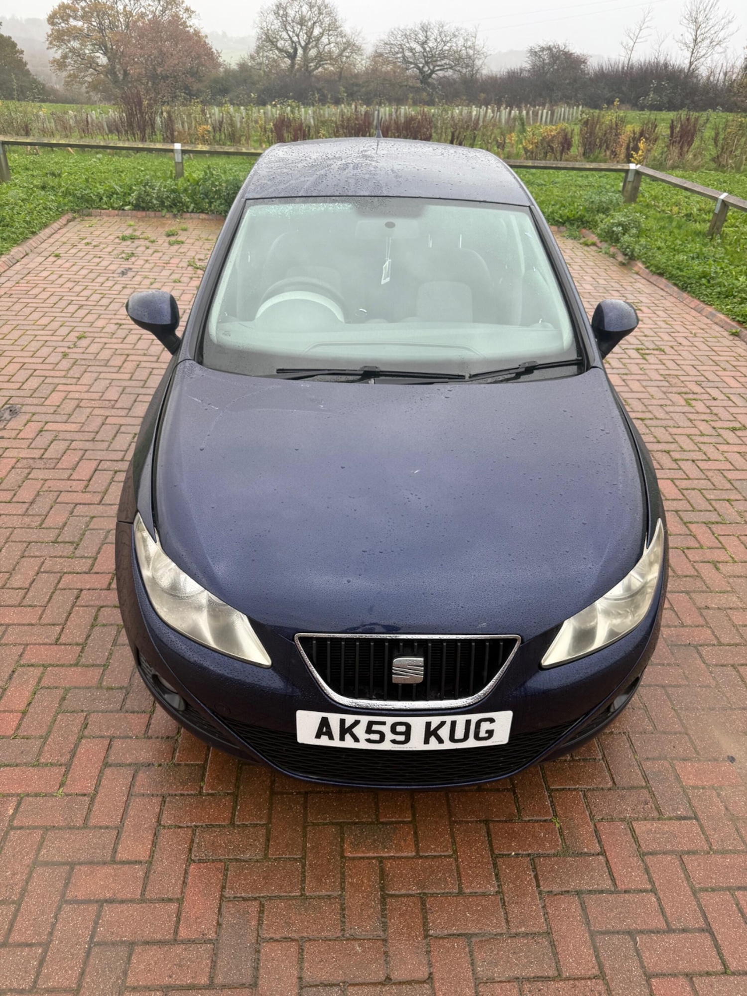 Used SEAT Ibiza 2010 for sale - 76765225: Photo 7