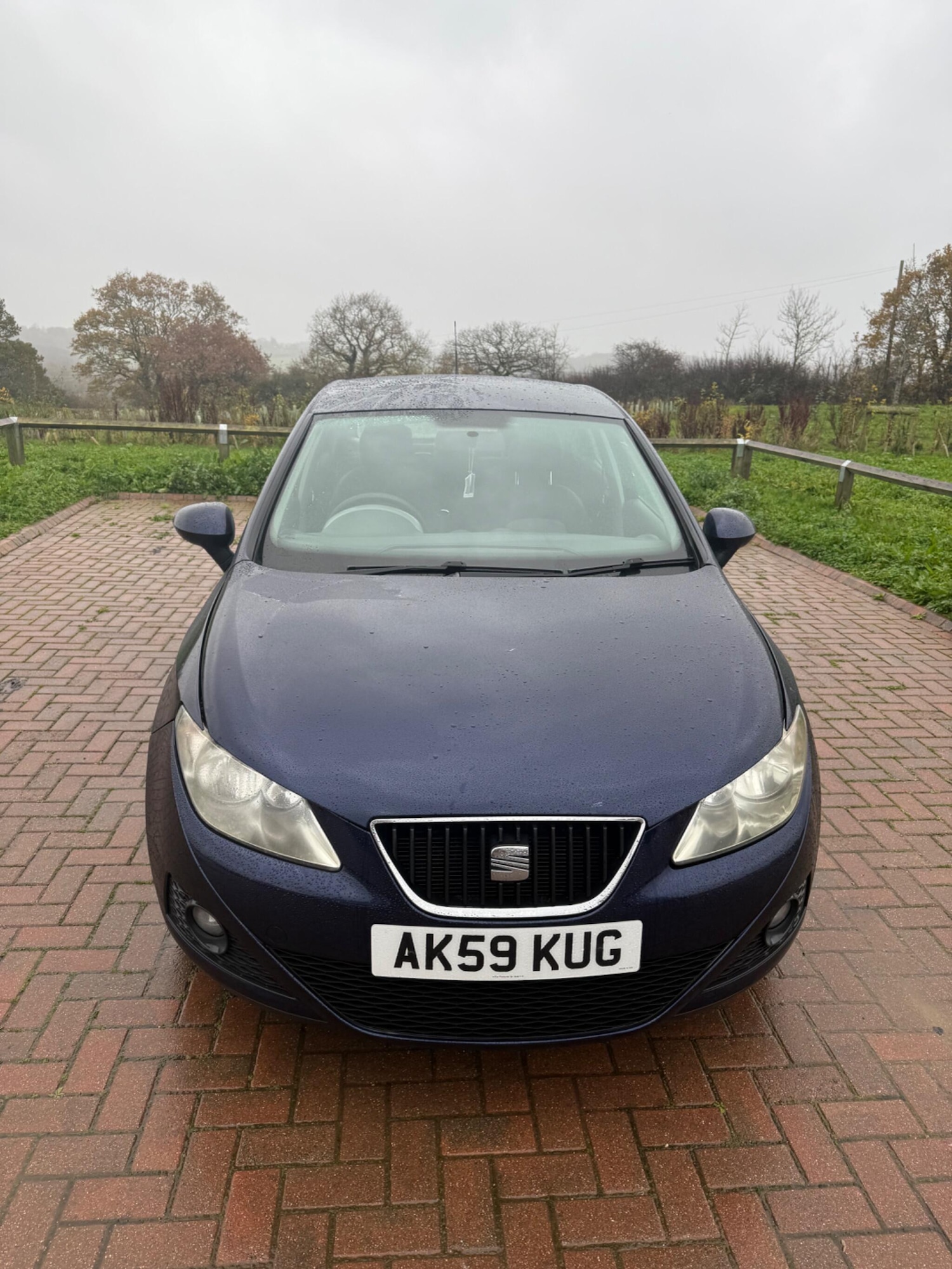 Used SEAT Ibiza 2010 for sale - 76765225: Photo 8