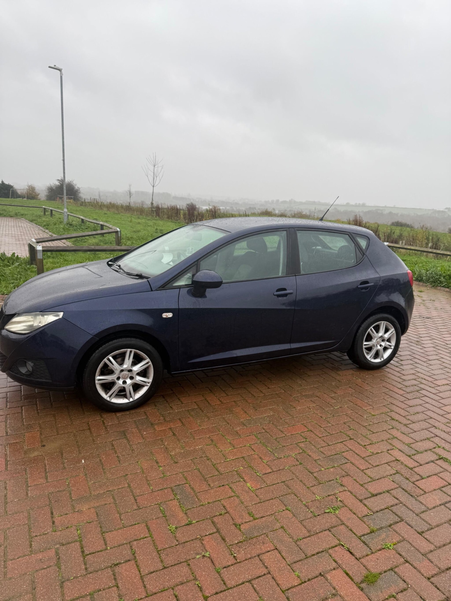 Used SEAT Ibiza 2010 for sale - 76765225: Photo 9