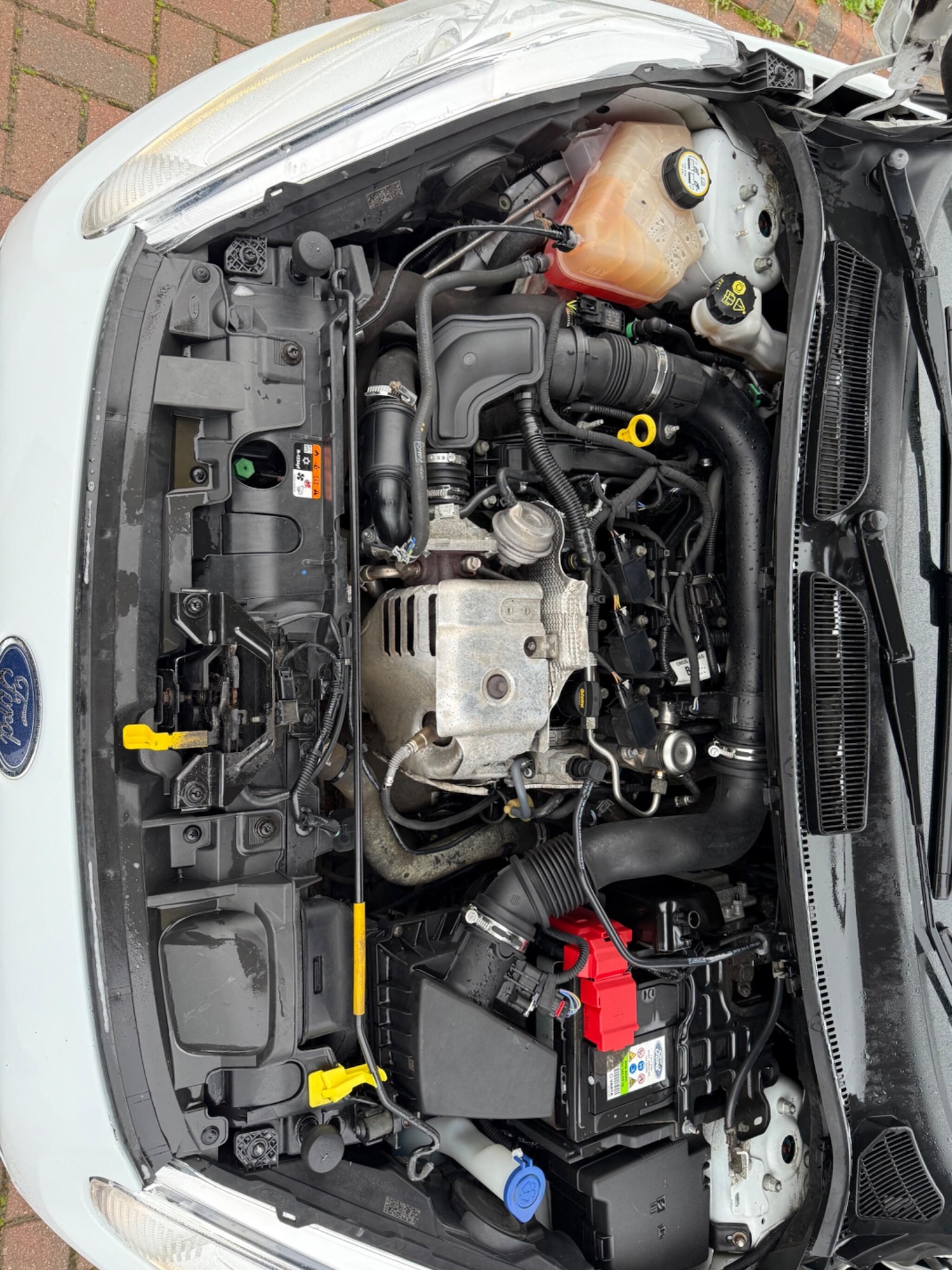 Used Ford Fiesta 2017 for sale - 77131116: Photo 34