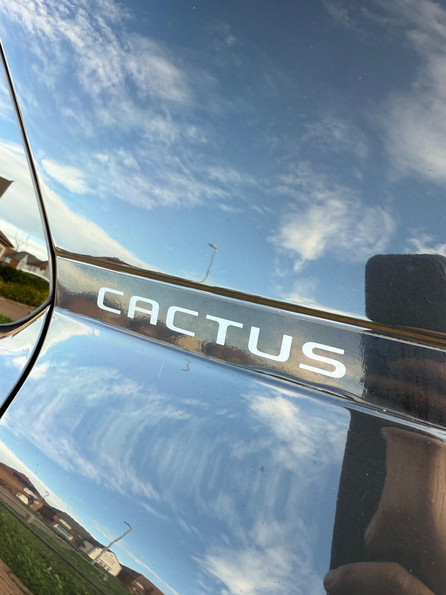 Used Citroen C4 Cactus 2019 for sale - 76994086: Photo 45