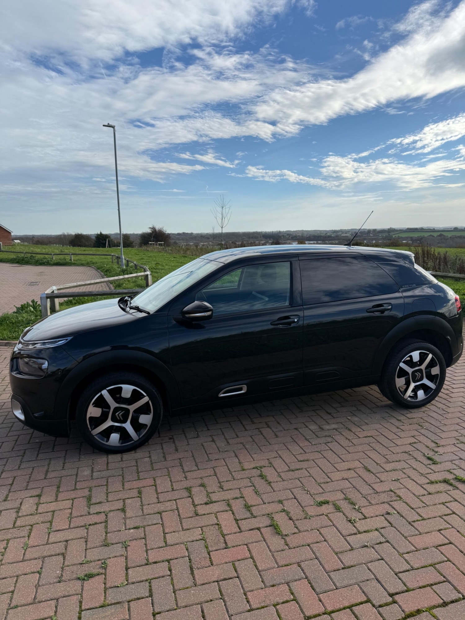 Used Citroen C4 Cactus 2019 for sale - 76994086: Photo 9