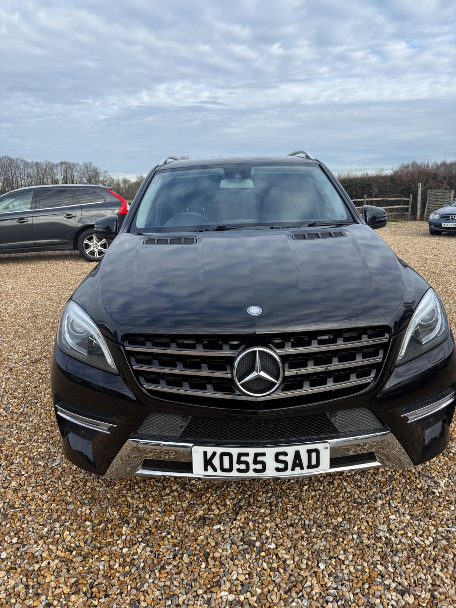 Used Mercedes-Benz M Class for sale - 77242432: Photo 2