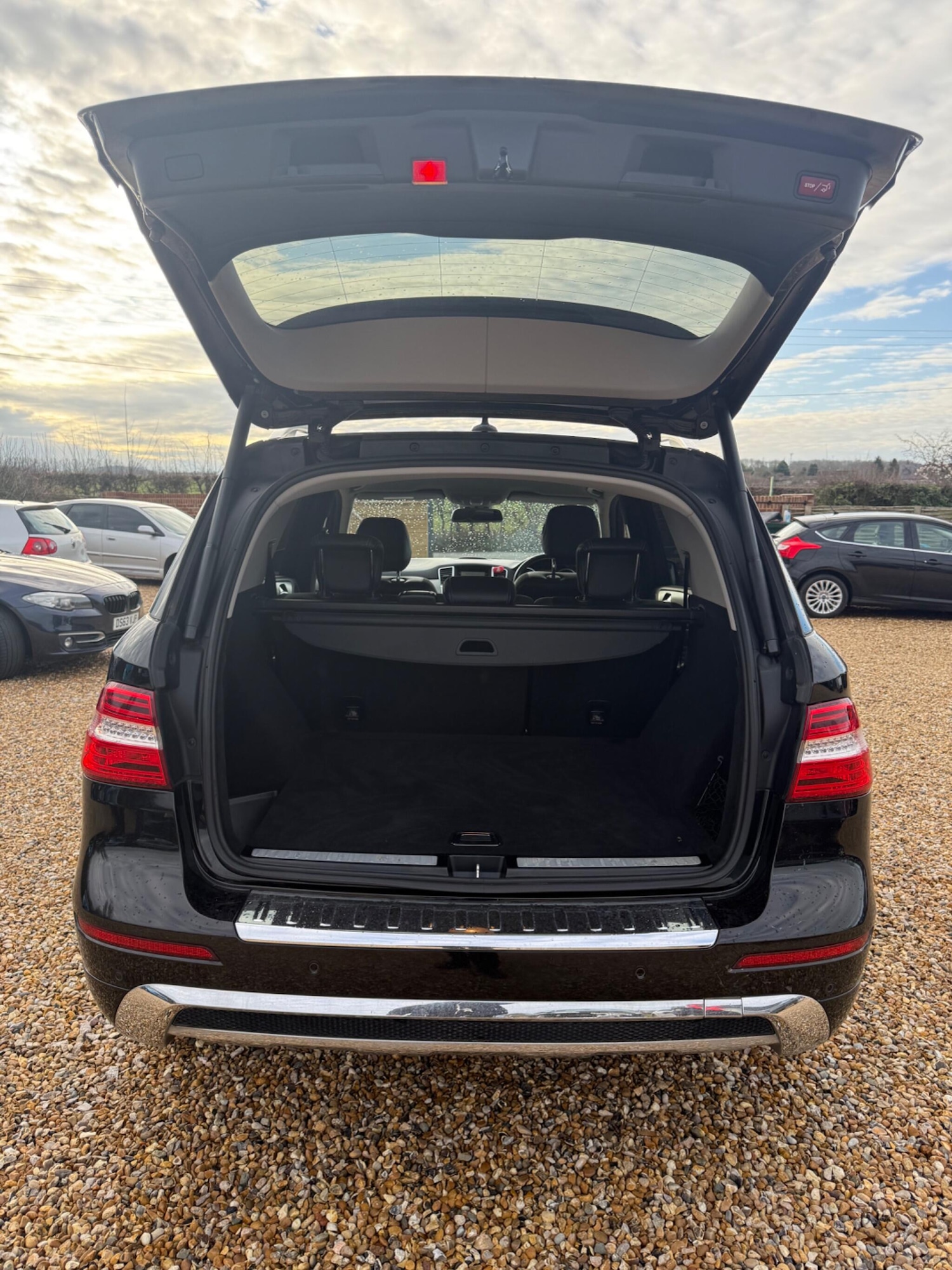 Used Mercedes-Benz M Class for sale - 77242432: Photo 46