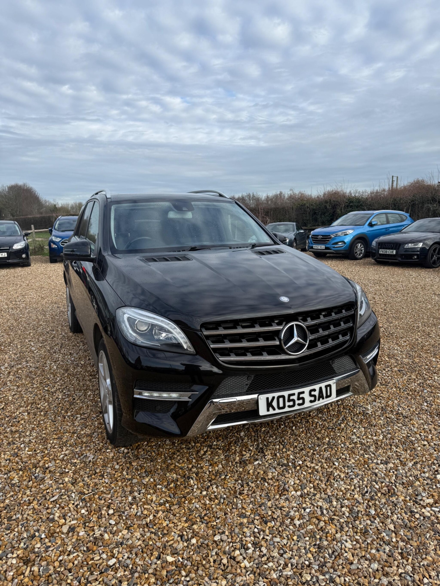 Used Mercedes-Benz M Class for sale - 77242432: Photo 7
