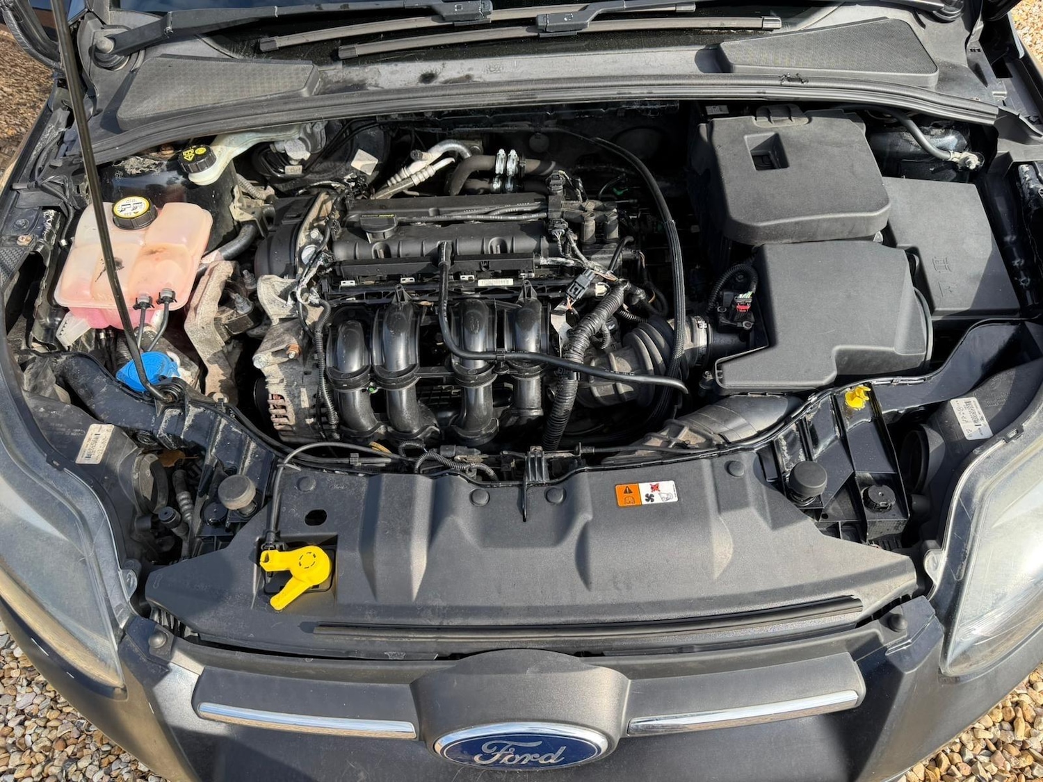 Used Ford Focus 2012 for sale - 77737325: Photo 17