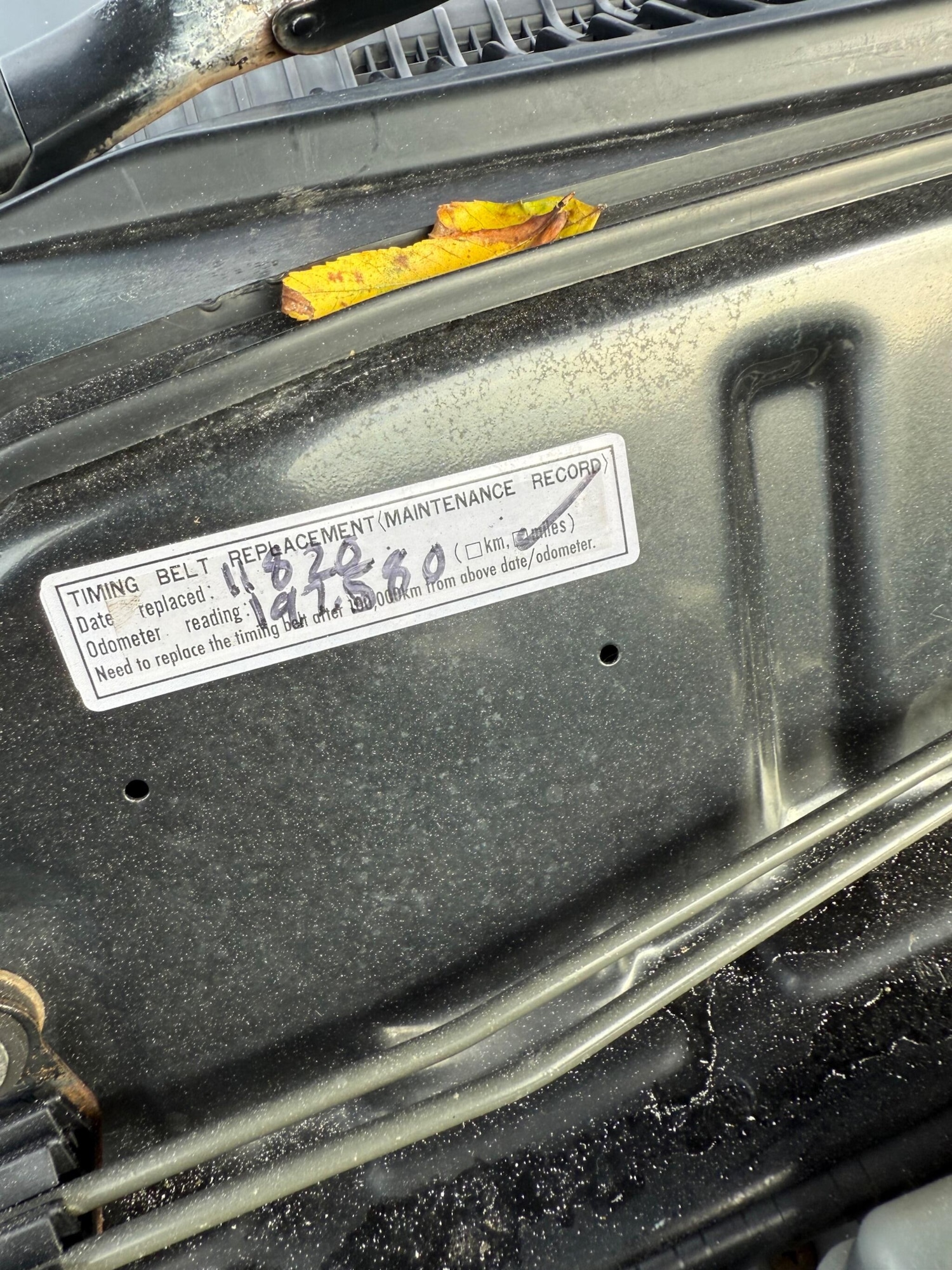 Used Toyota Land Cruiser Amazon 2007 for sale - 76361300: Photo 72