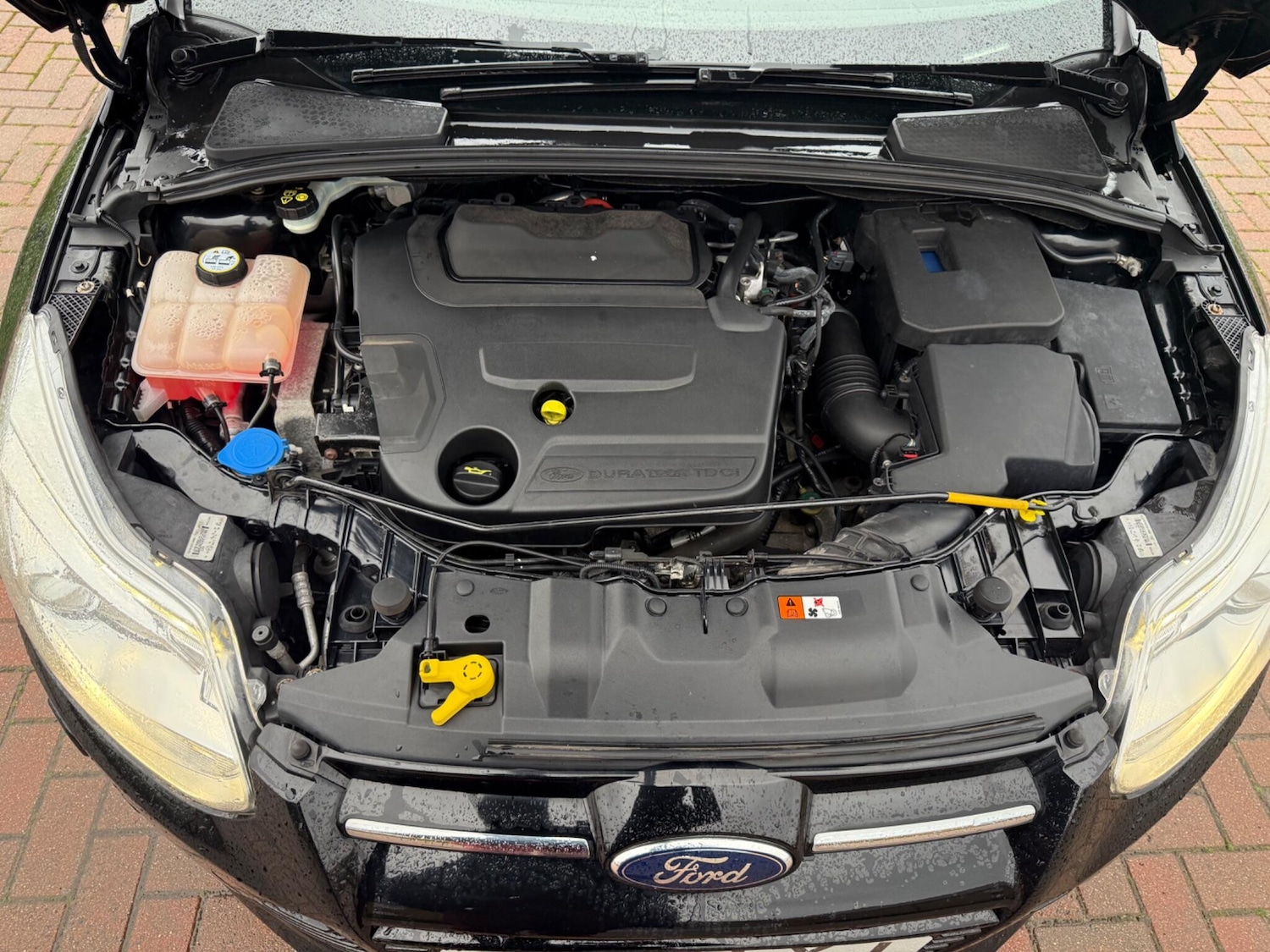 Used Ford Focus for sale - 77191352: Photo 39