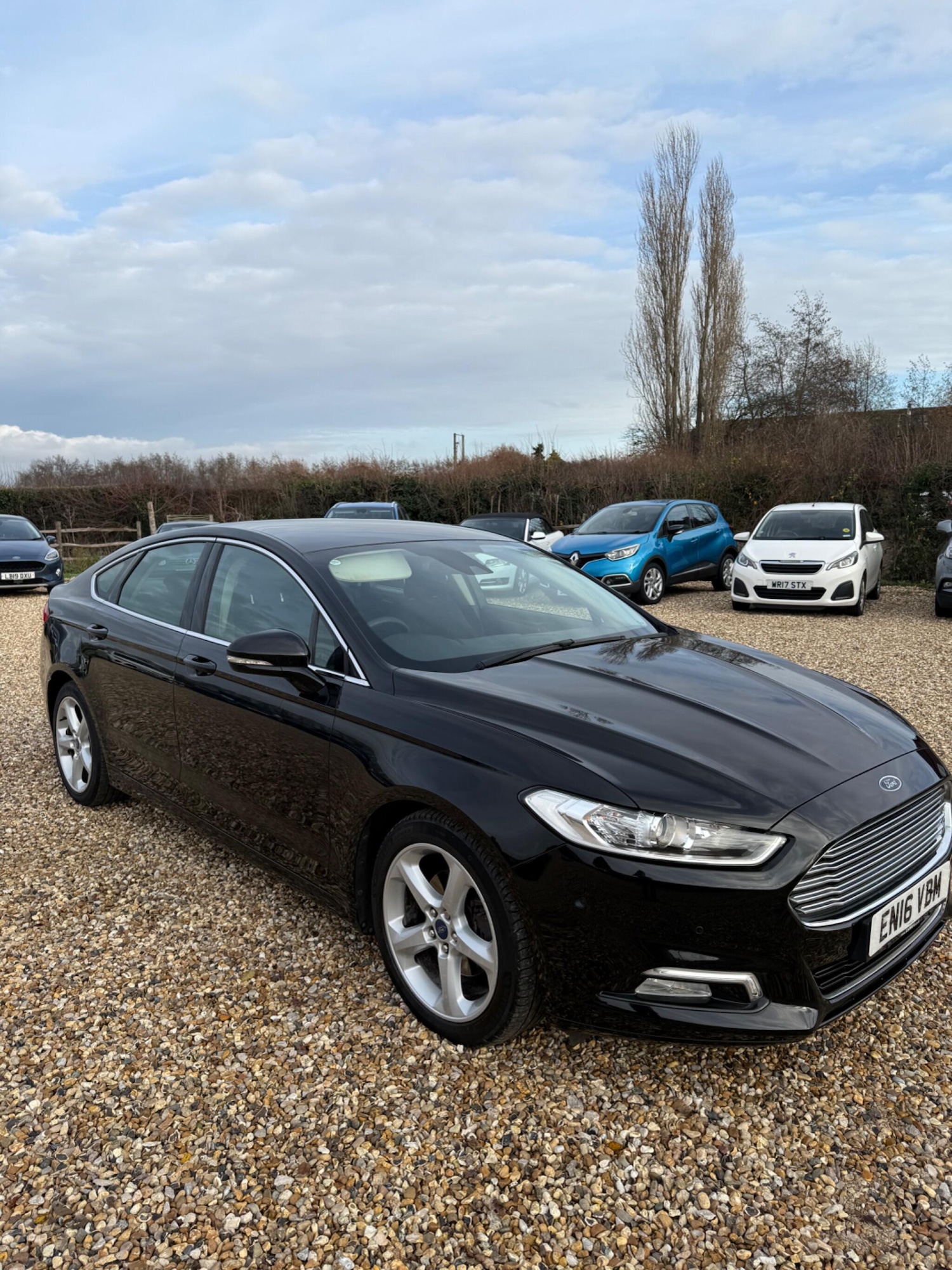 Used Ford Mondeo 2016 for sale - 76965430: Photo 7