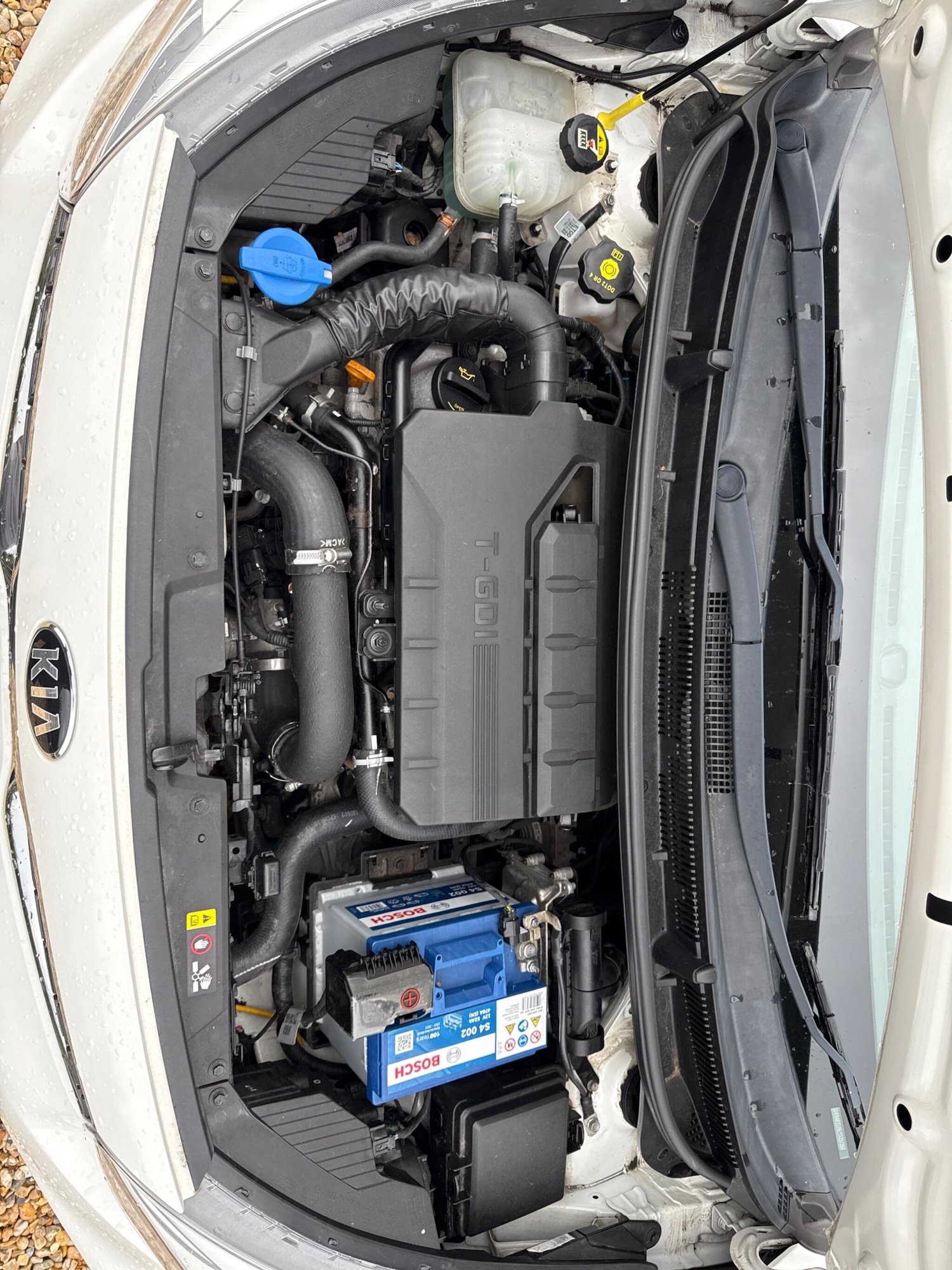 Used Kia Picanto 2019 for sale - 76991256: Photo 38