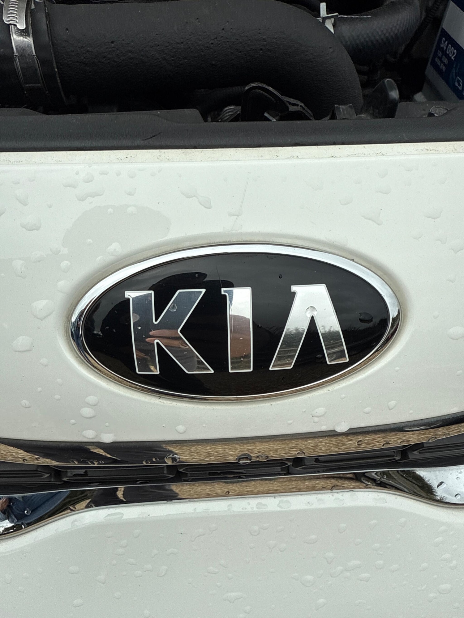 Used Kia Picanto 2019 for sale - 76991256: Photo 39