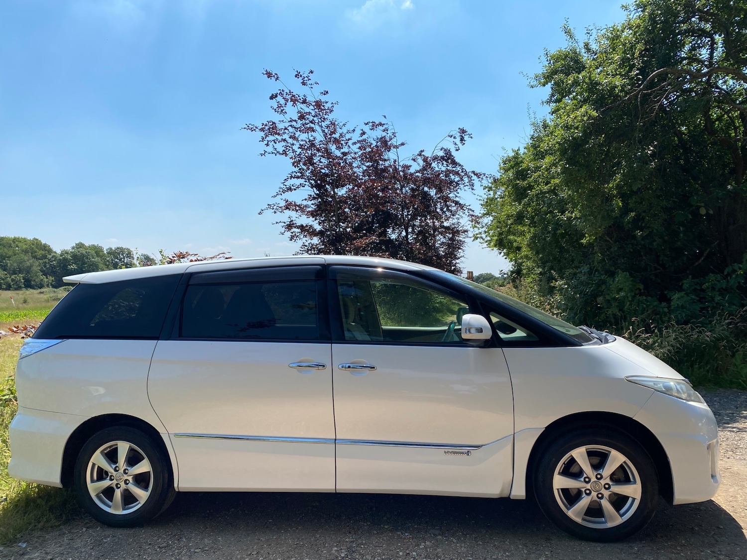 Used Toyota Estima 2010 for sale - 77125236: Photo 39