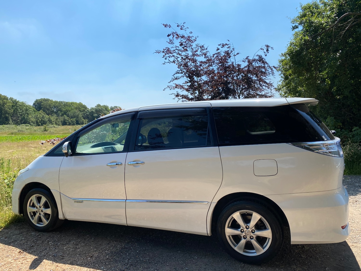 Used Toyota Estima 2010 for sale - 77125236: Photo 47