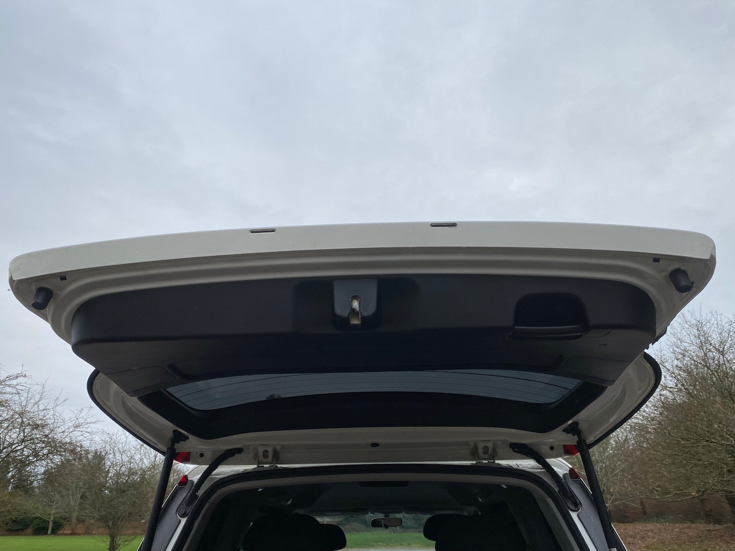 Used Honda Elysion 2008 for sale - 77165827: Photo 46