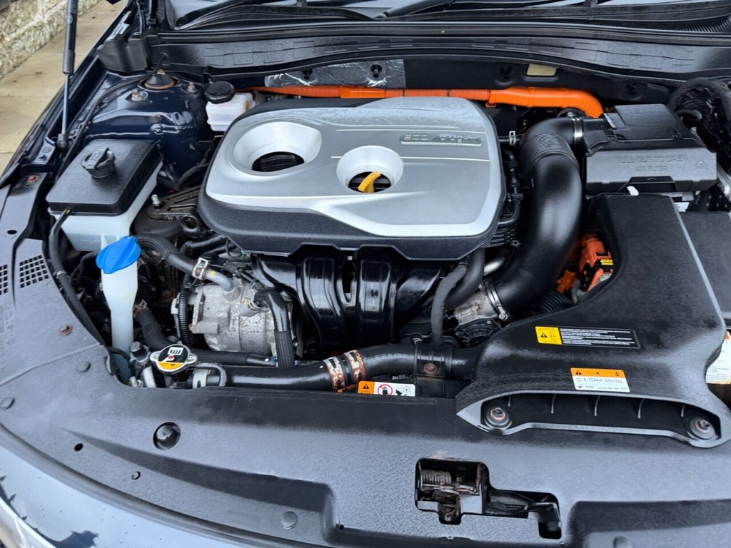 Used Kia Optima 2019 for sale - 77038047: Photo 17