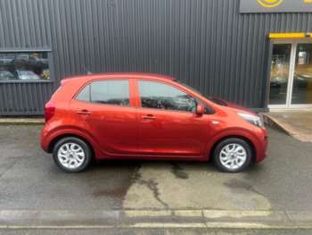 Used Kia Picanto 2017 for sale - 73519526: Photo