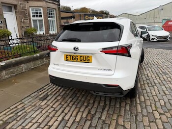 Used Lexus NX 2017 for sale - 77037768: Photo