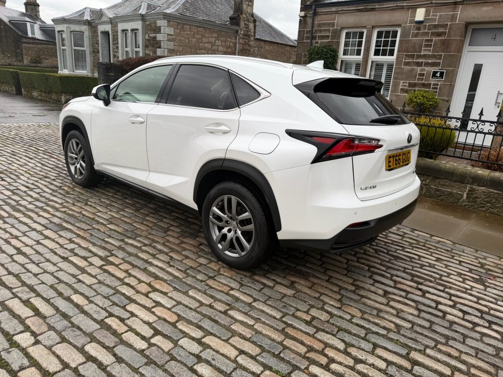 Used Lexus NX 2017 for sale - 77037768: Photo 6
