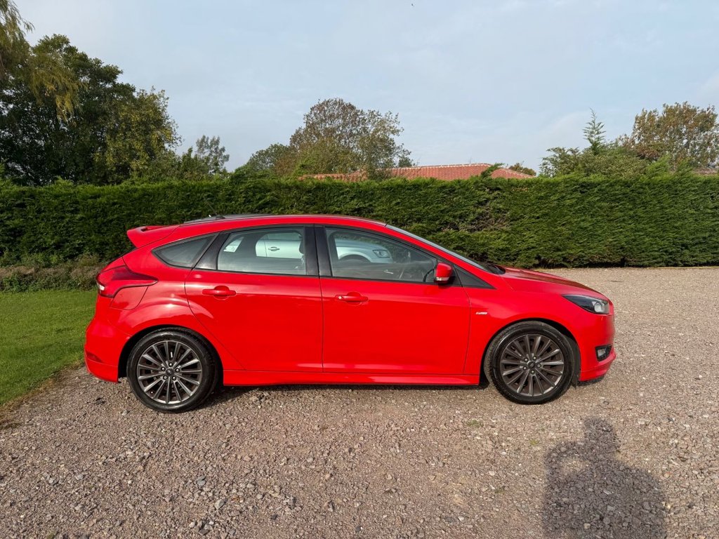 Used Ford Focus 2017 for sale - 76470009: Photo 10