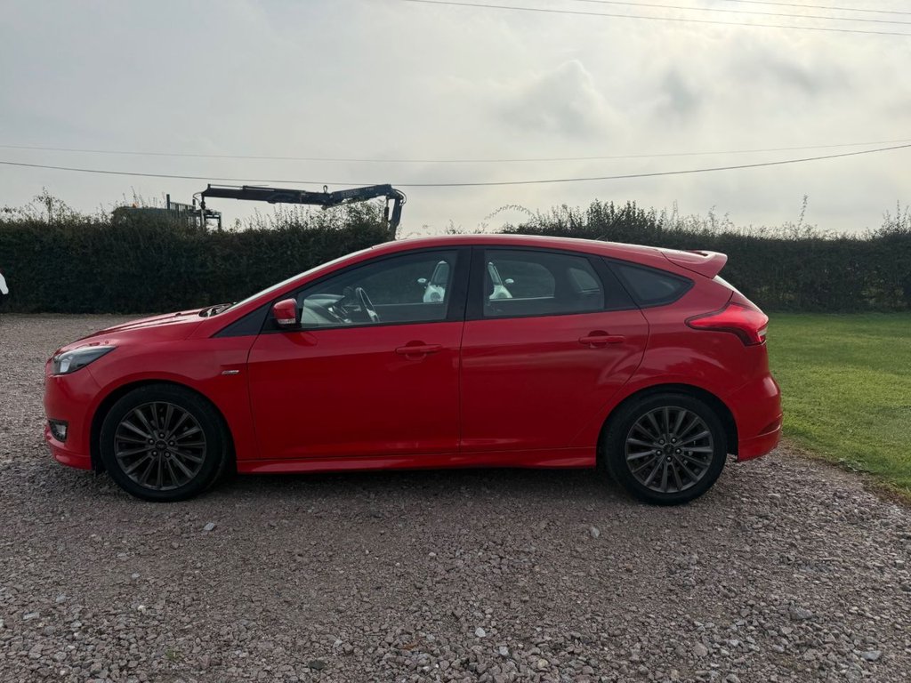 Used Ford Focus 2017 for sale - 76470009: Photo 9
