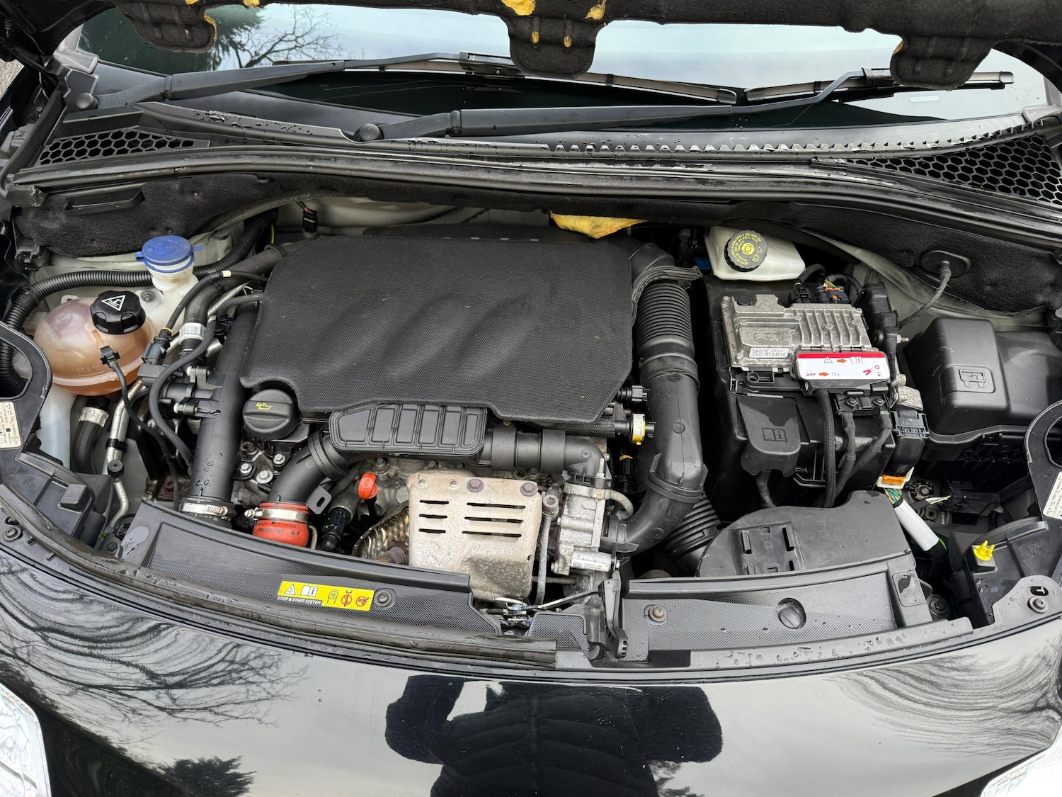 Used DS Automobiles DS 3 2017 for sale - 77630872: Photo 16