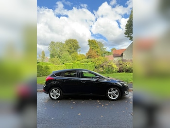Used Ford Focus 2016 for sale - 75891045: Photo