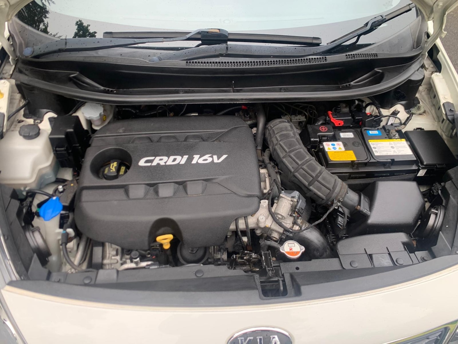 Used Kia Rio 2012 for sale - 76242961: Photo 13