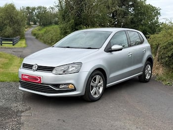 Used Volkswagen Polo 2017 for sale - 79699239: Photo