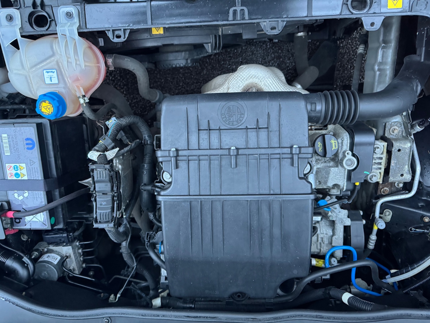 Used Alfa Romeo MiTo 2018 for sale - 77236190: Photo 31