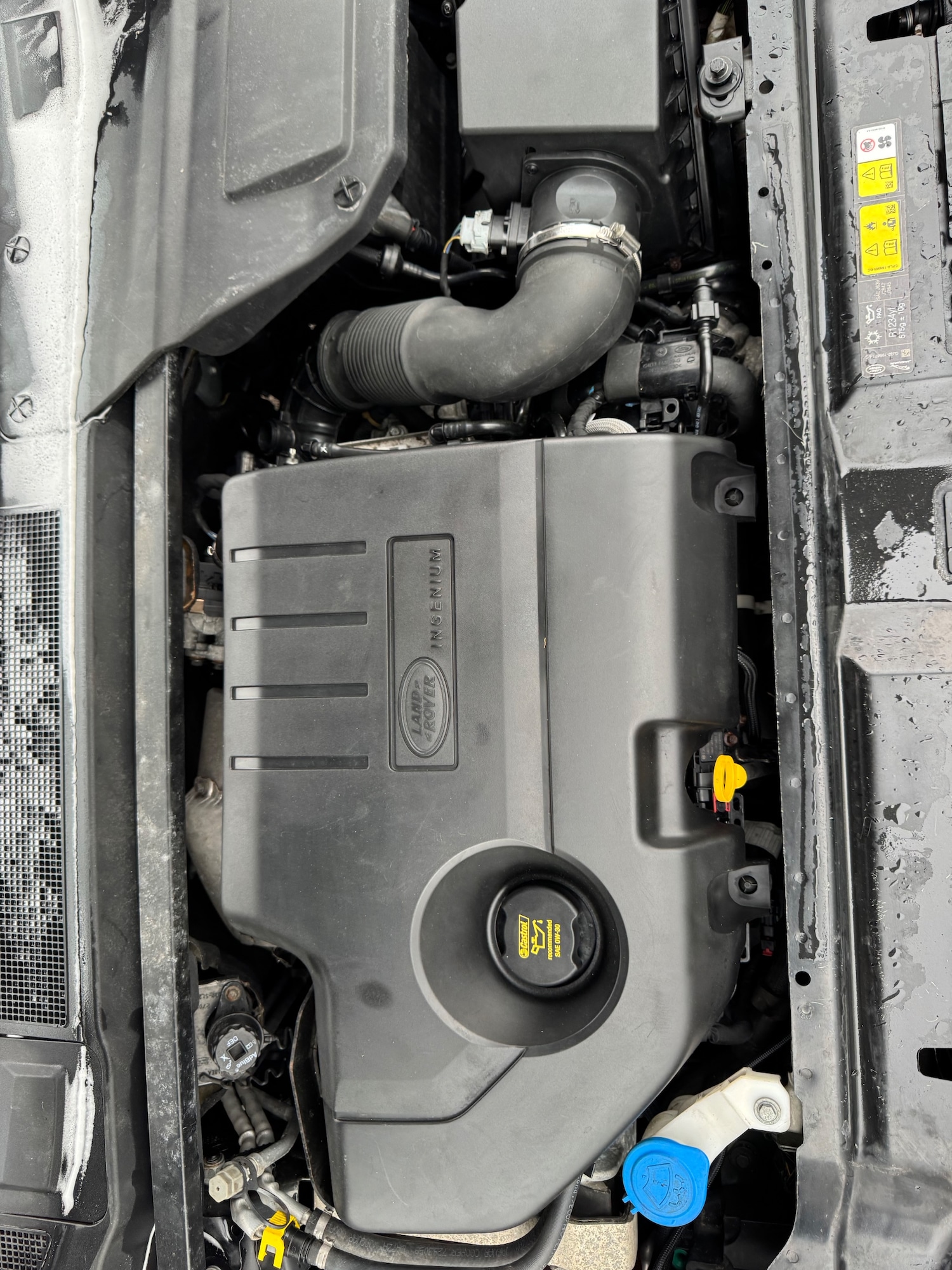 Used Land Rover Discovery Sport 2017 for sale - 77636618: Photo 47